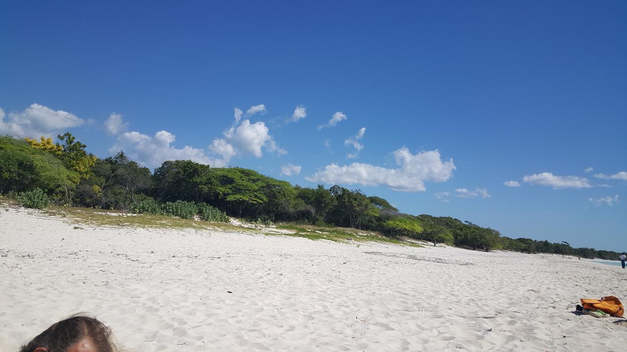 Hotel B&B Italia Caribe 佩德纳莱斯 外观 照片
